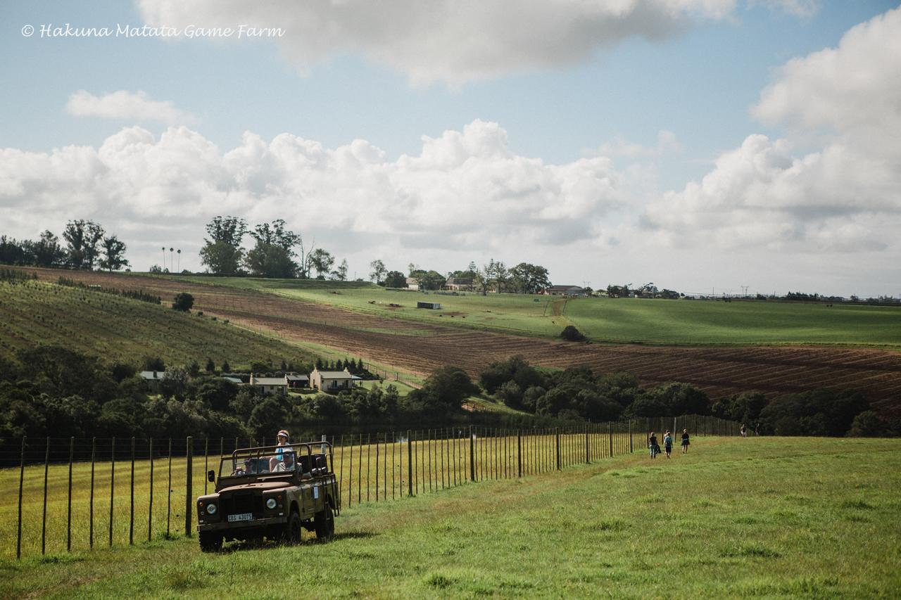 Hakuna Matata Game Farm Great Brak River Exterior photo