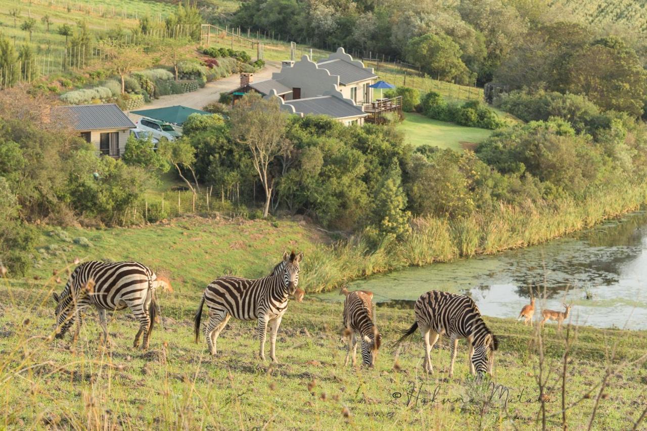 Hakuna Matata Game Farm Great Brak River Exterior photo